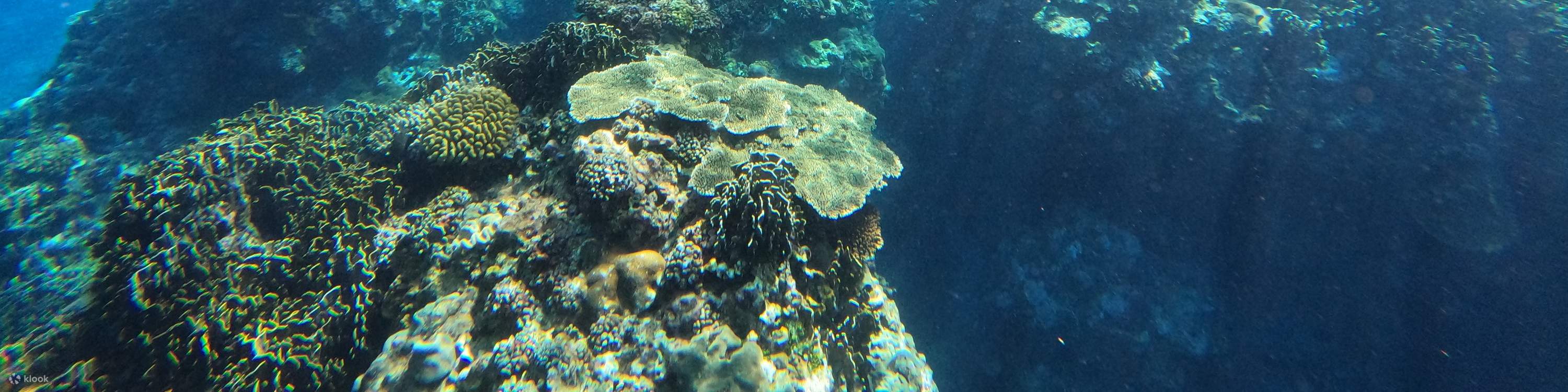 Child snorkeling in the sea