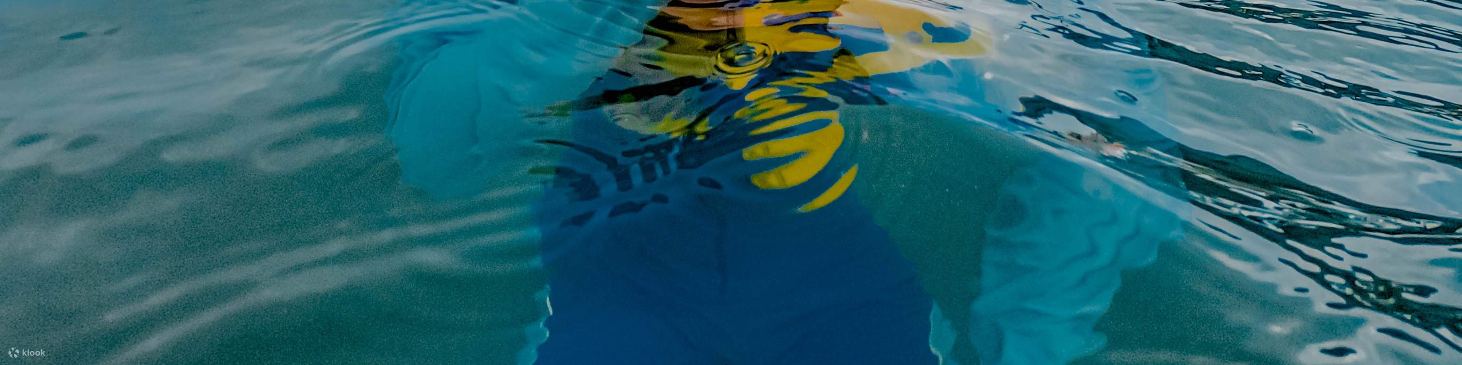 Turtle Island, Glass Bottom Boat, Mangrove Cruise by JTB Indonesia