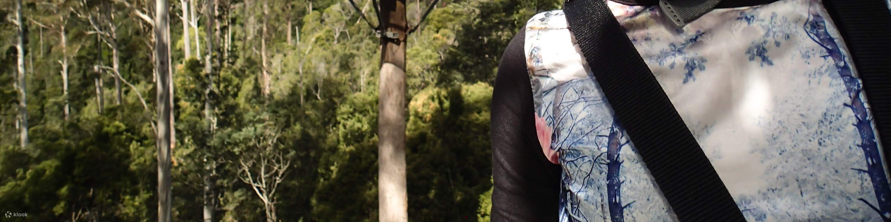 Trẻ em tham gia zipline