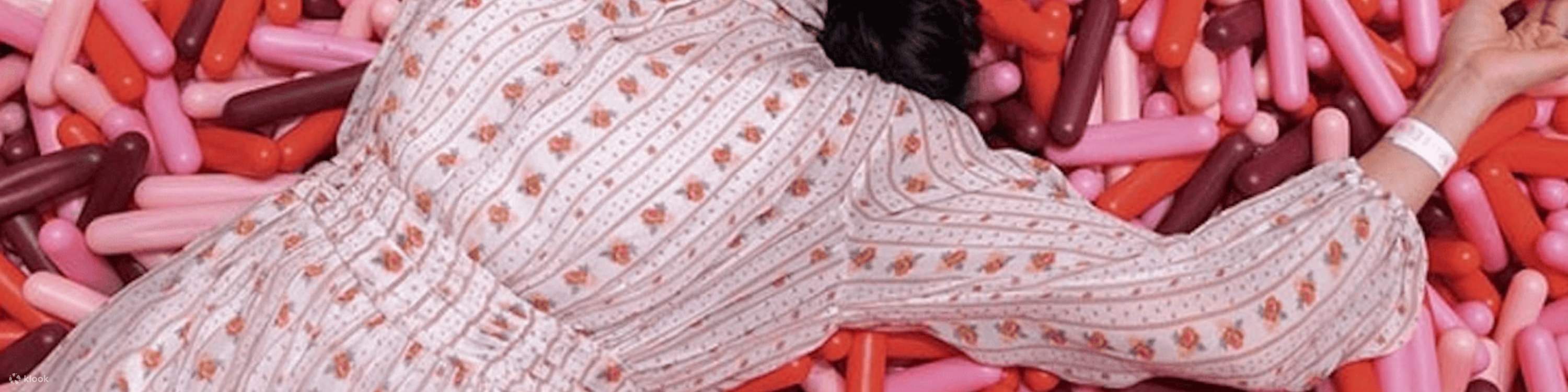 Entrée au Musée de la Crème Glacée à New York