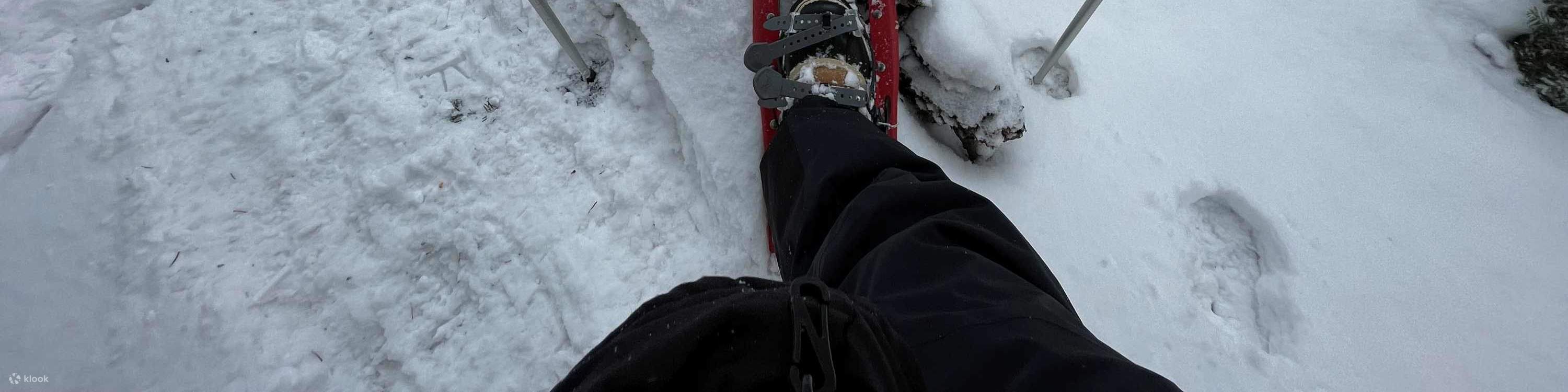 Otaru Forest Snowshoe (with transportation)