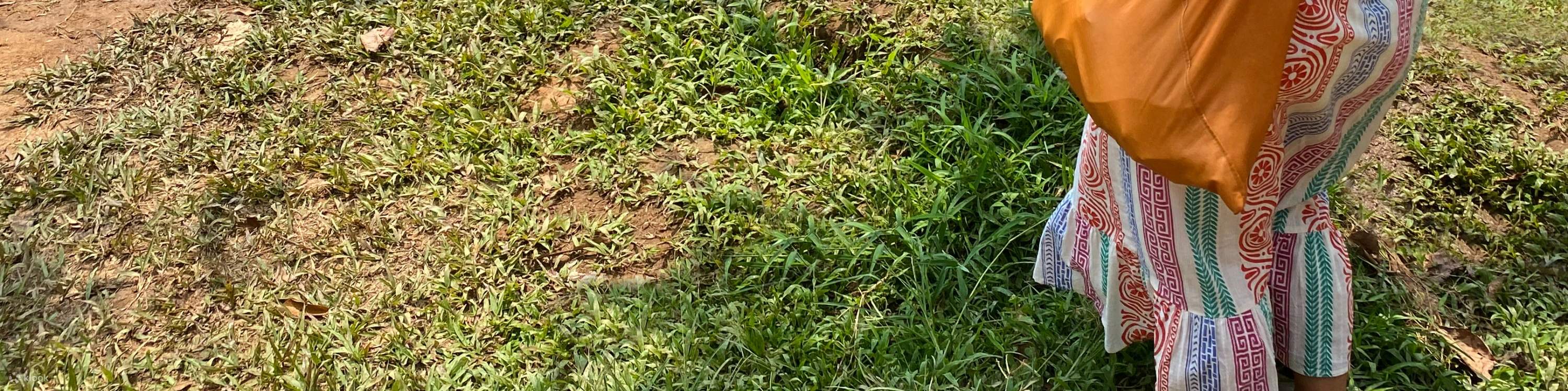 Mujer tomando fotos de elefantes