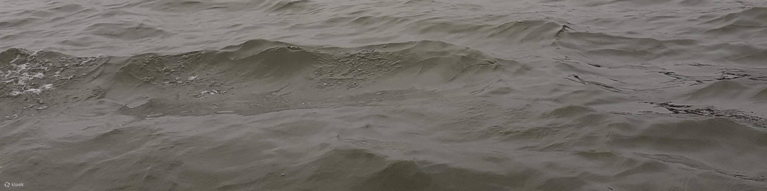 Tiket bot bersiar-siar Tai O