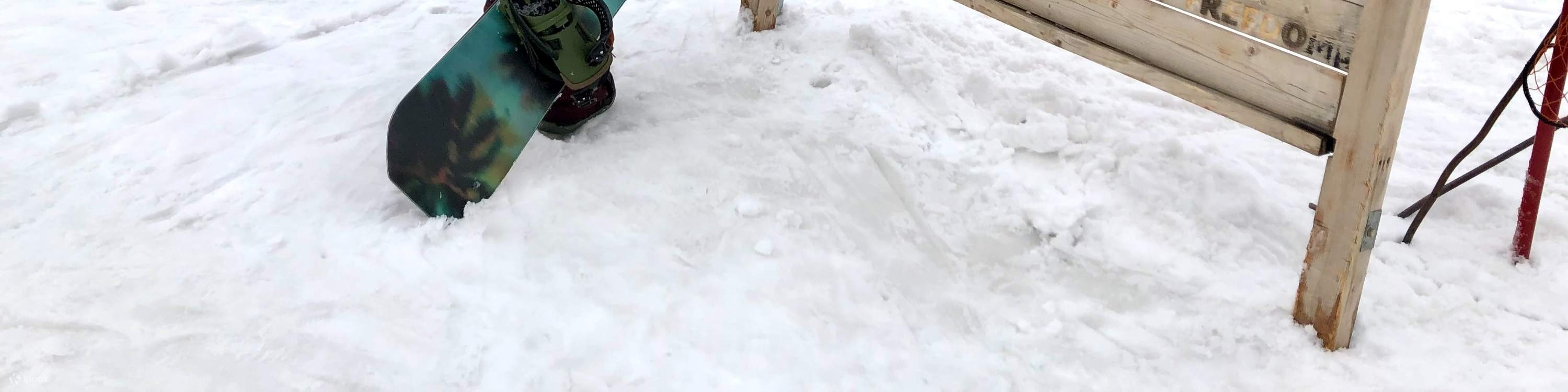 Private Chinese snowboarding/snowboarding coaching lessons at Hakuba Ski Resort in Nagano, Japan