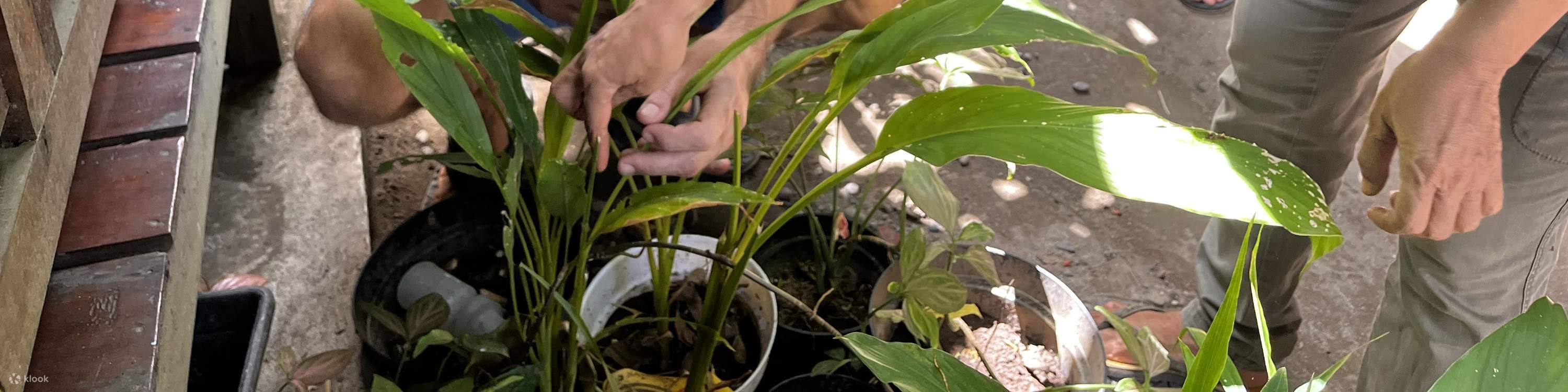 คลาสเรียนทำอาหารใน ยอกยาการ์ตา