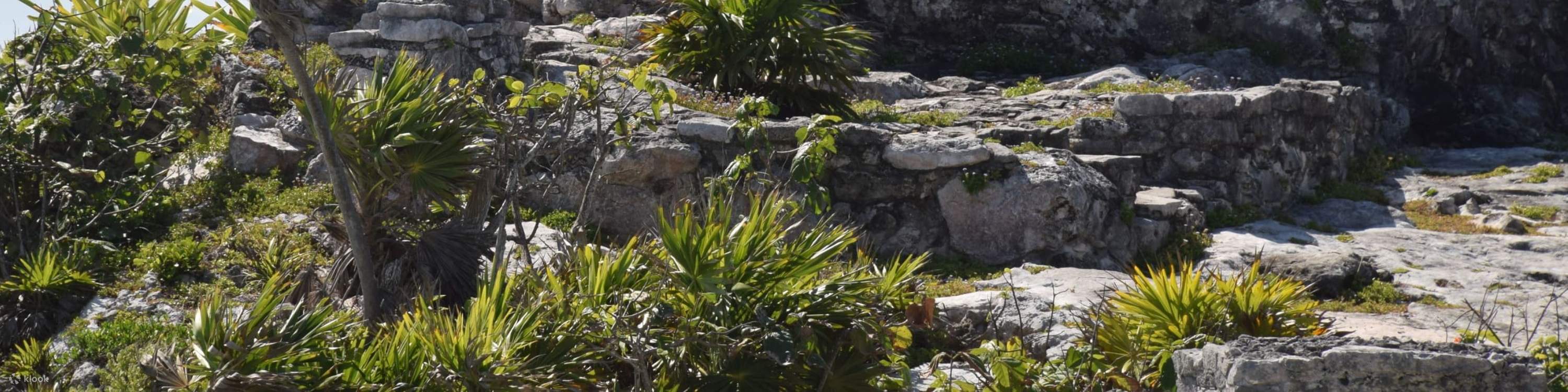Tulum & Coba Maya Ruins Tour dengan Berenang di Cenote & Snorkel di Meksiko