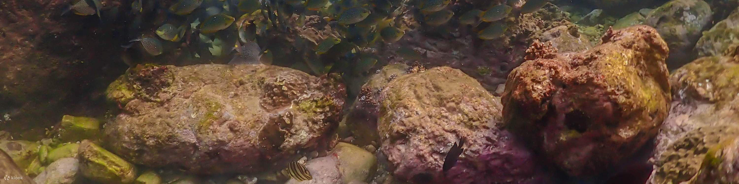 Esperienza all'Isola di Nemo con Foto con Drone e Pranzo