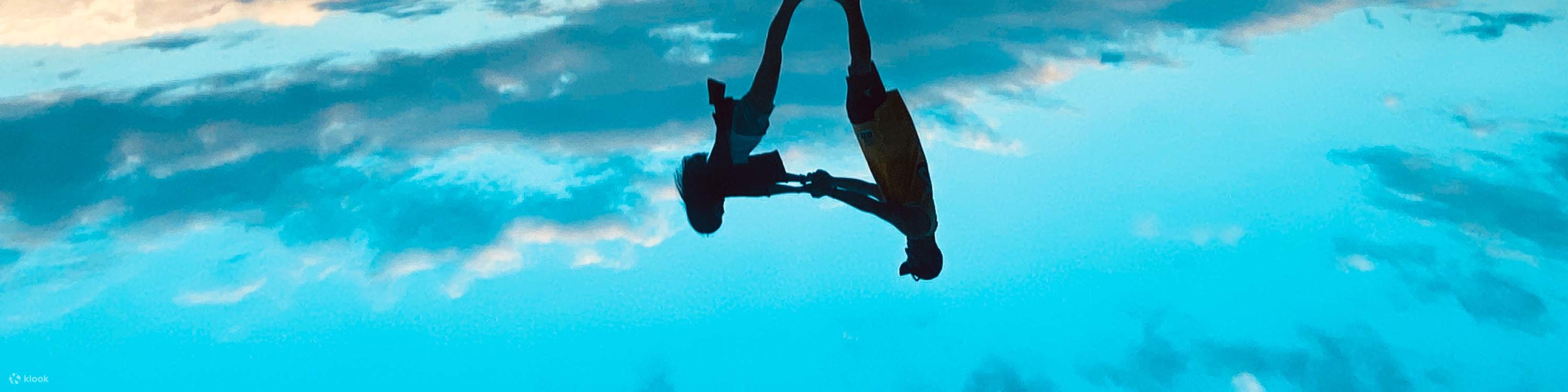 Con l'aiuto di fotografi professionisti, tutti possono diventare trapezisti