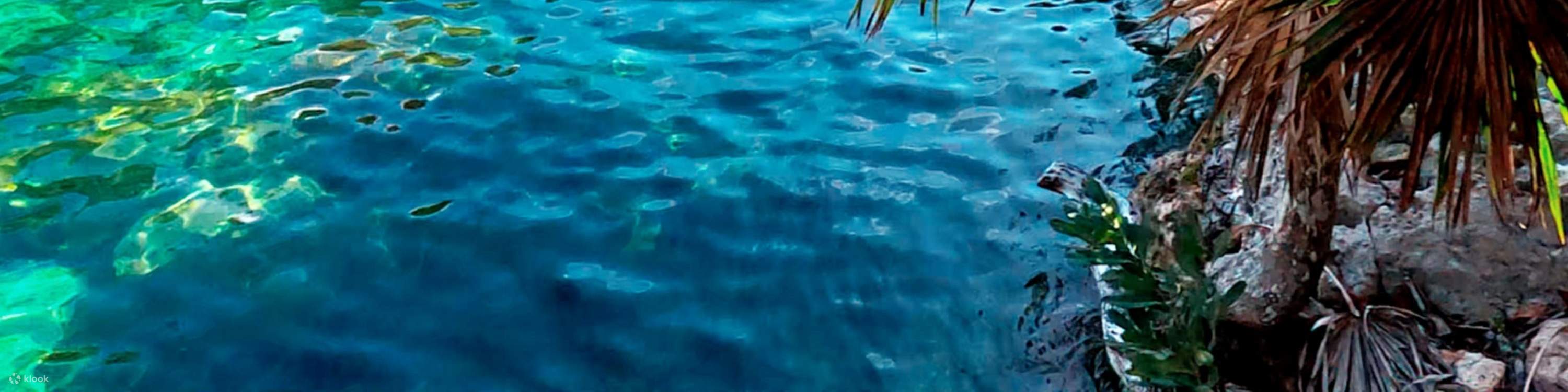 지하 강의 아름다움과 반쯤 닫힌 동굴 세노테를 탐험해보세요