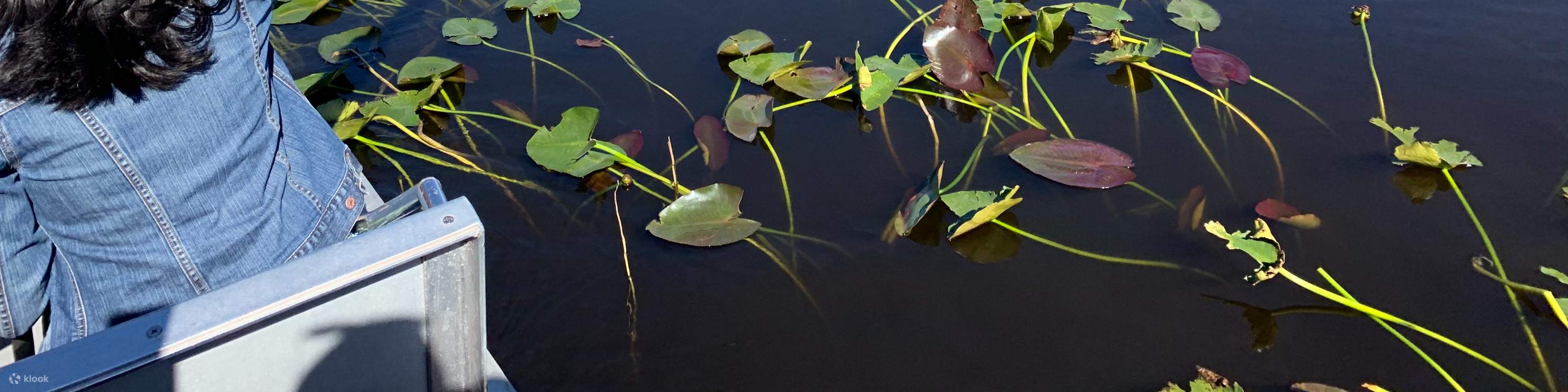 Everglades Airboat & Gator Experience