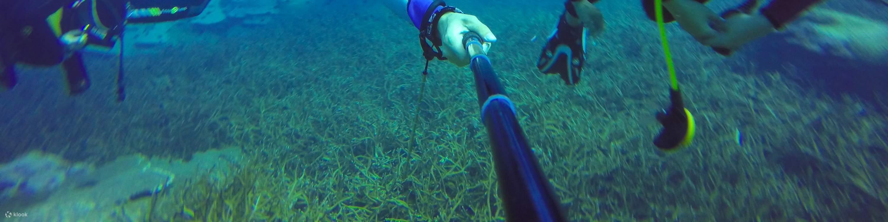 알라니아 다이빙/스노클링 투어 (점심 포함)