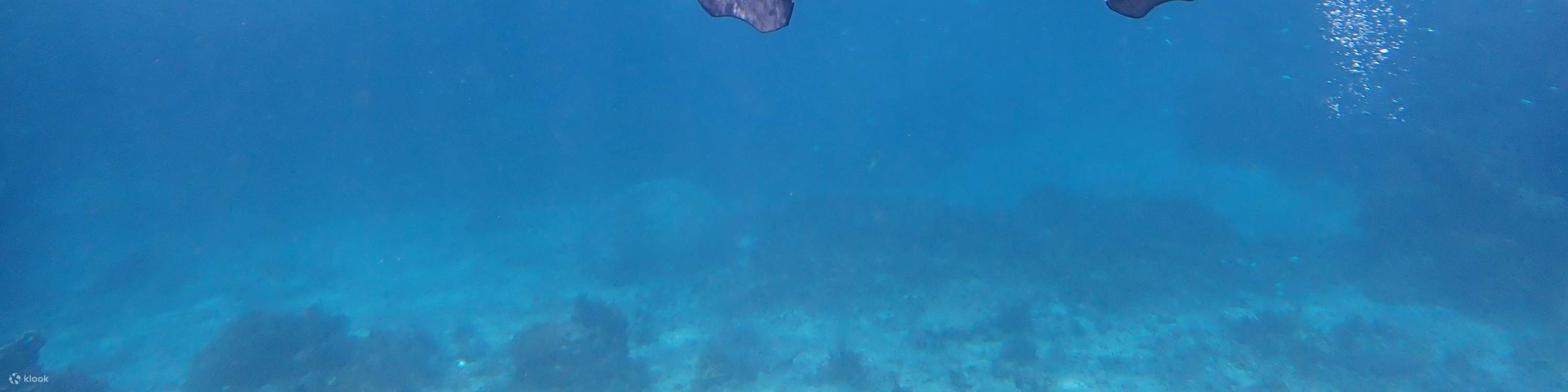 [Ishigaki Island/1 Hari] Mendarat di 