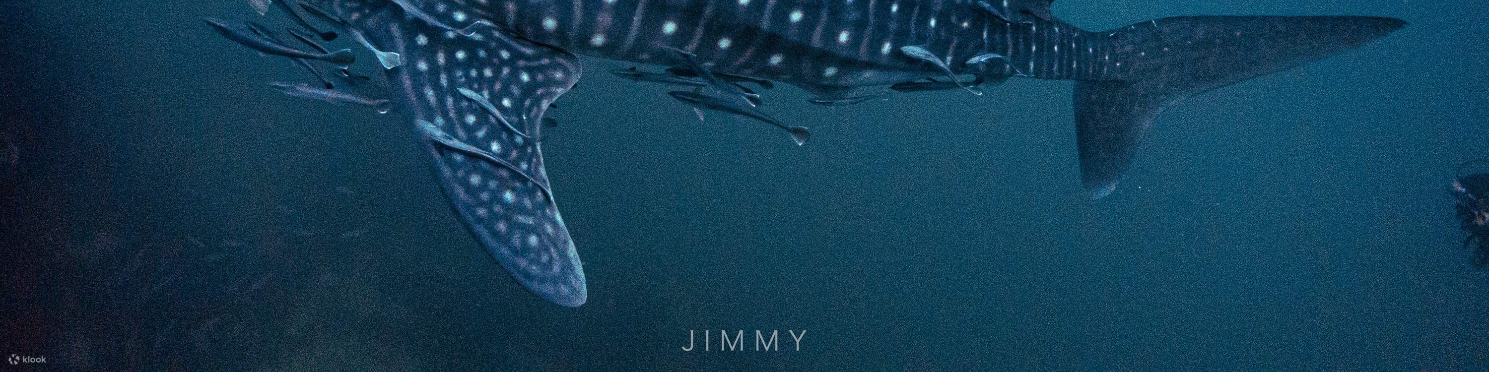 Pengalaman Kursus Air Terbuka di Koh Tao