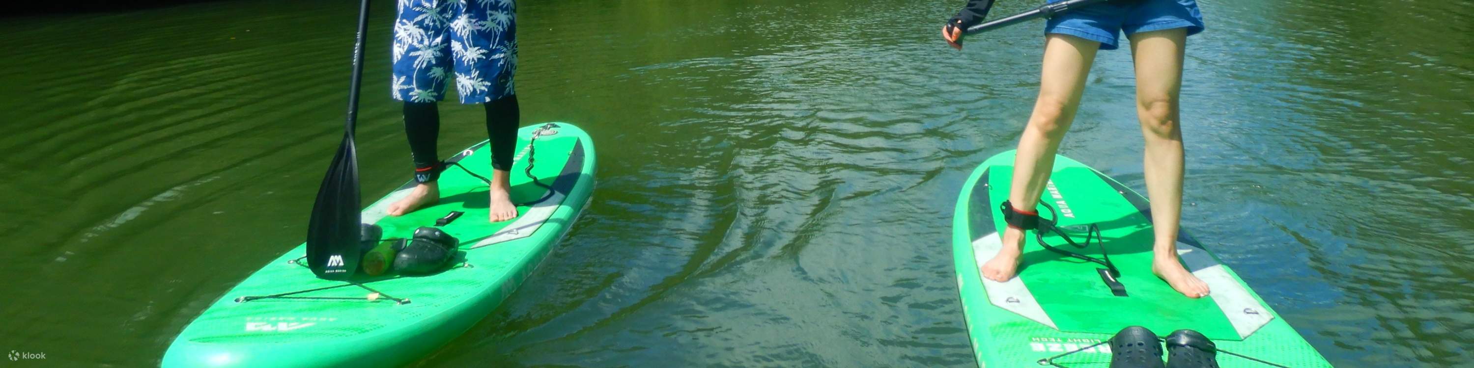 Chèo SUP Ngắm Rừng Ngập Mặn Tại Sông Hijya