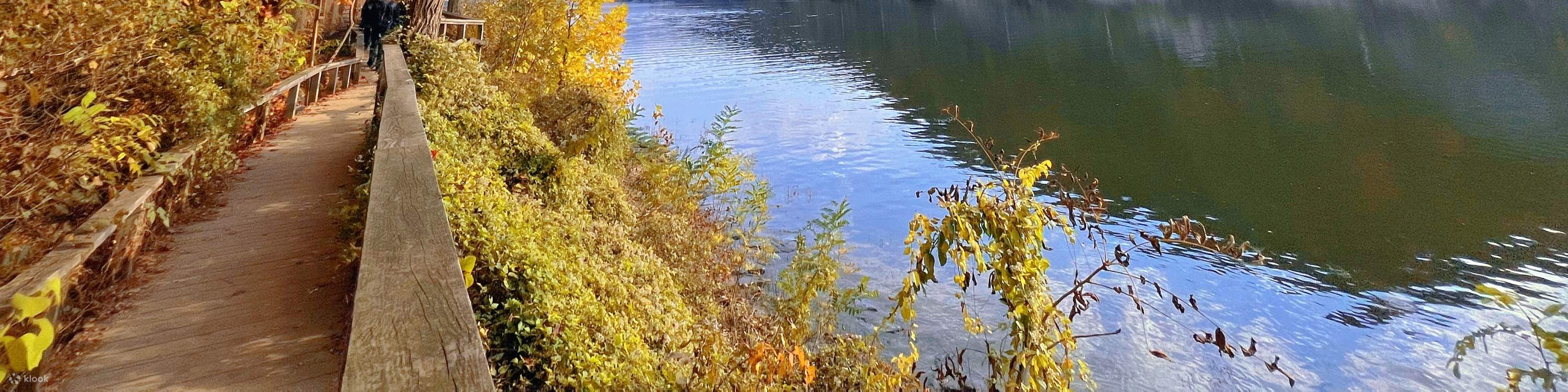 Билет на остров Нами