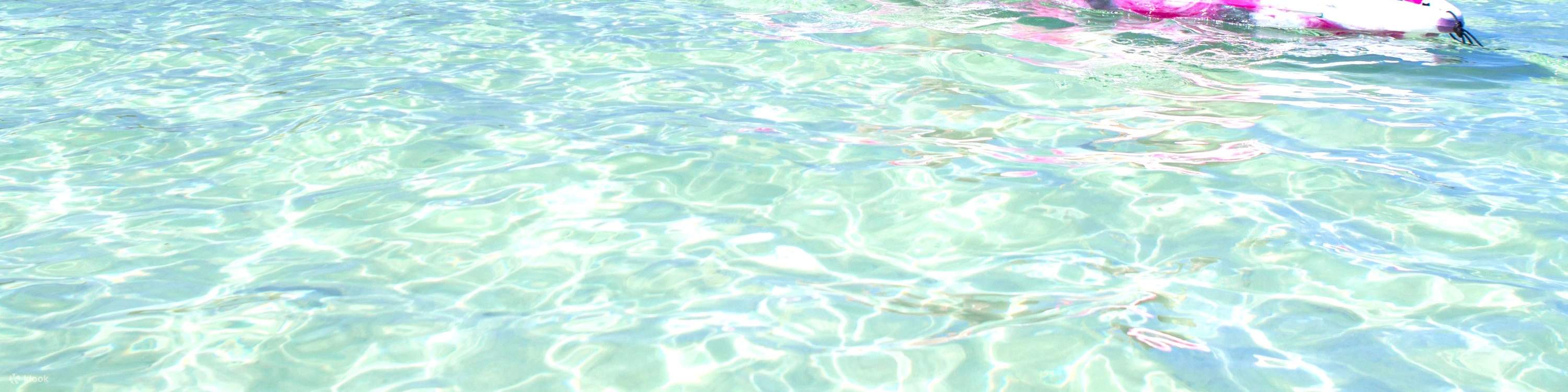 Pulau Ishigaki/1 Hari Pengalaman SUP/Kanu & Snorkeling Gua Biru di Teluk Kabira (Okinawa)