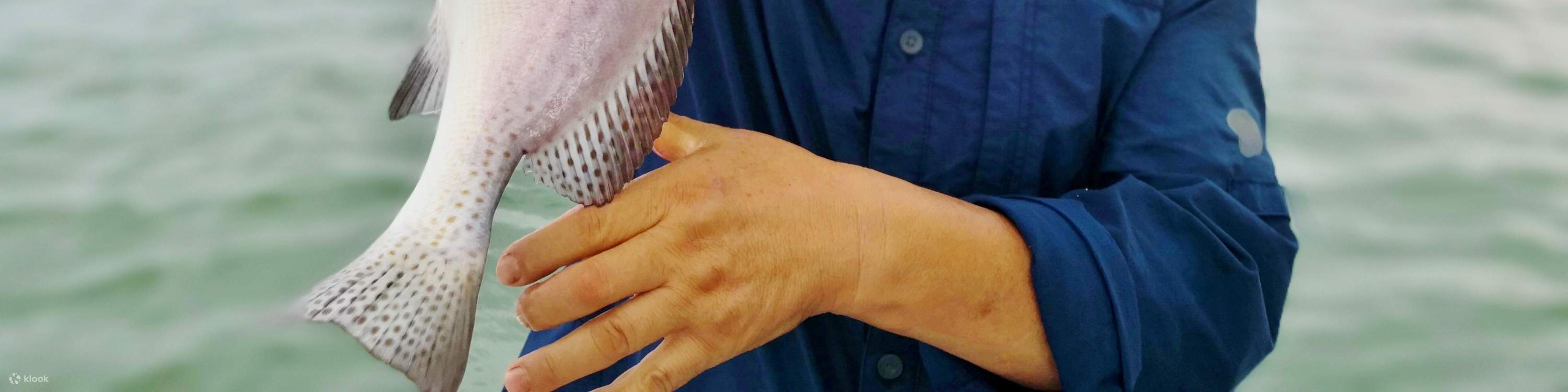 Cogli l'opportunità di pescare pesce fresco