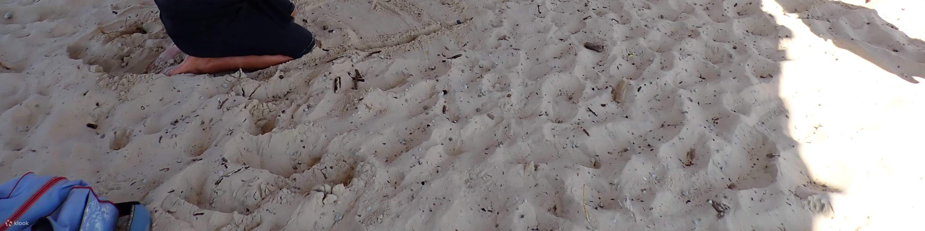 Esperienze di avventura oceanica