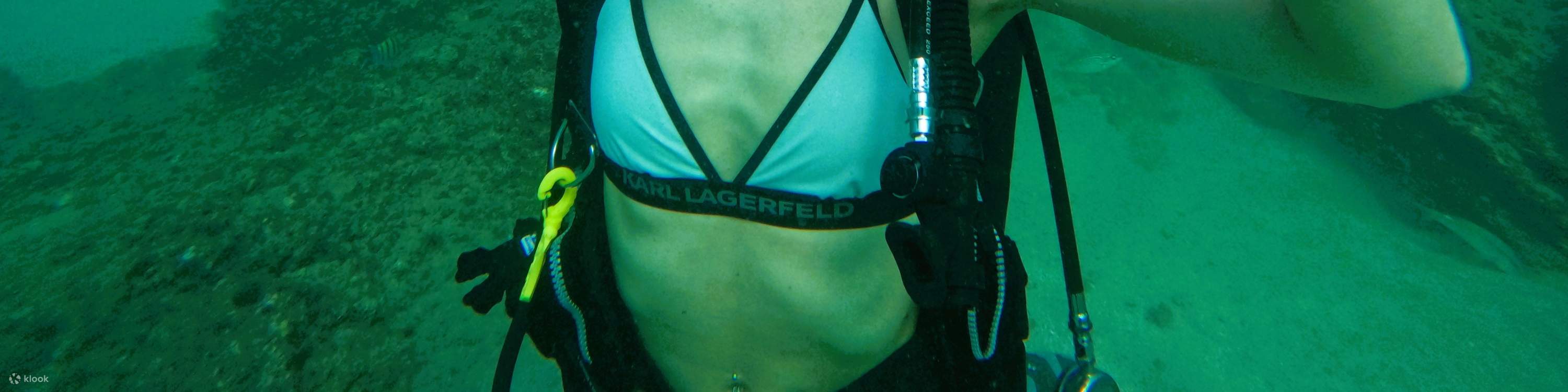 迪拜出發：水肺潛水 & 浮潛和燒烤午餐