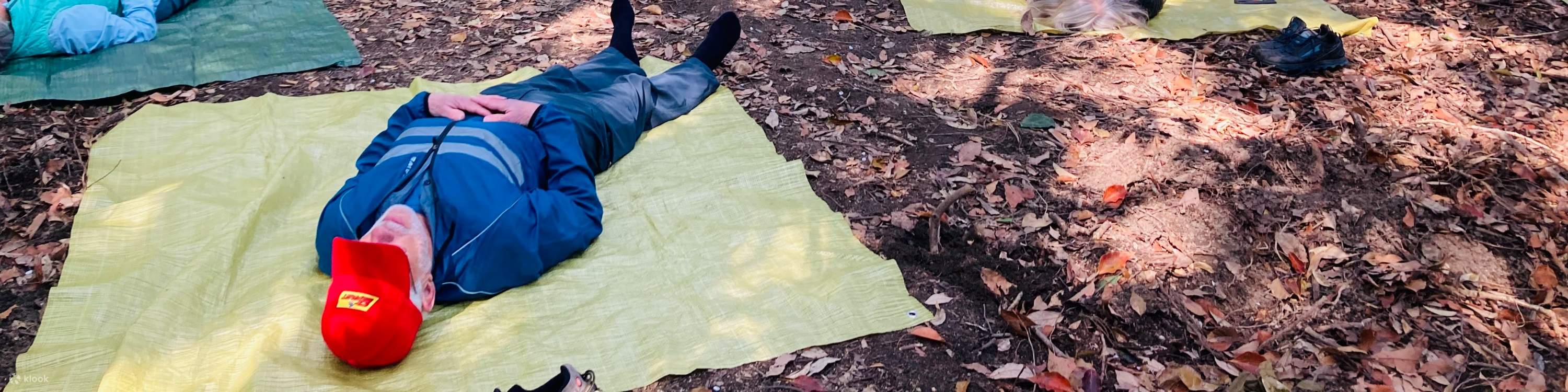 Randonnée matinale printanière à Hiroshima et cérémonie du thé en plein air