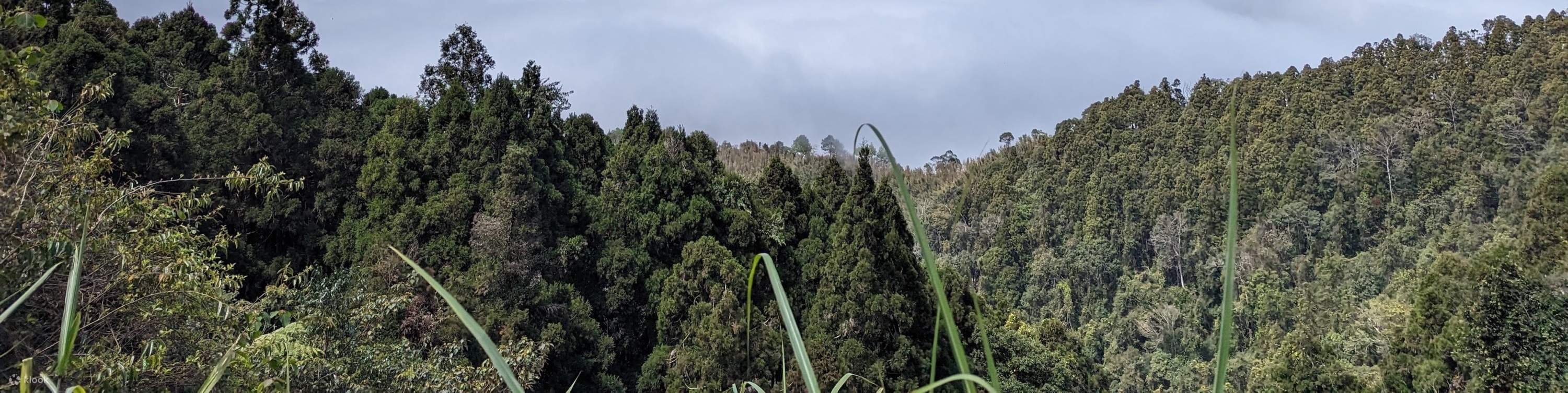 신주 우펑: 뤄산 임도 - 자전거로 천천히 달리기