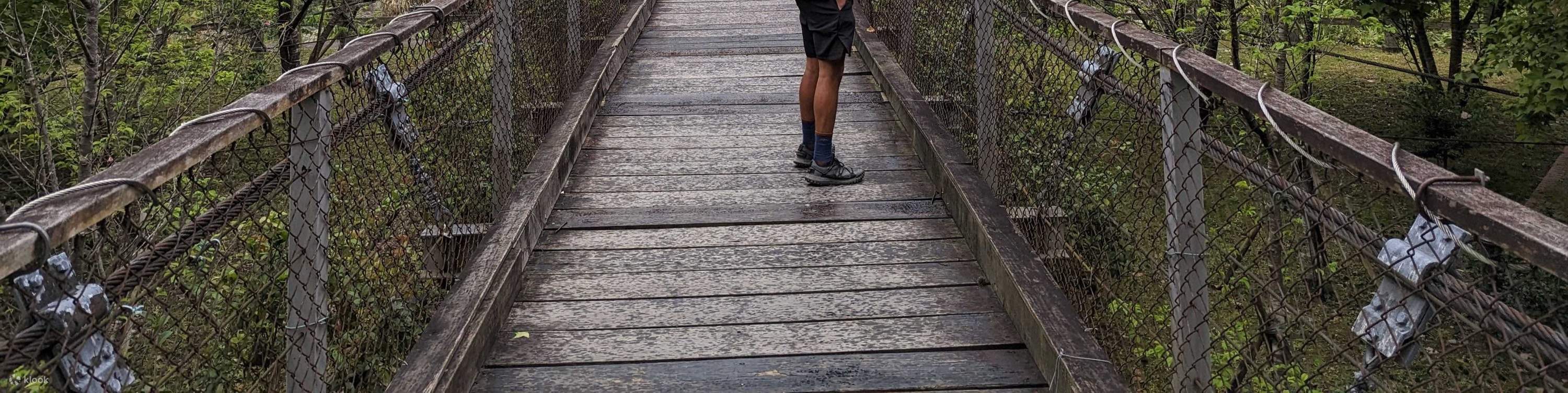 Hsinchu Wufeng: Sentiero forestale di Luoshan - Pedalata lenta in bicicletta