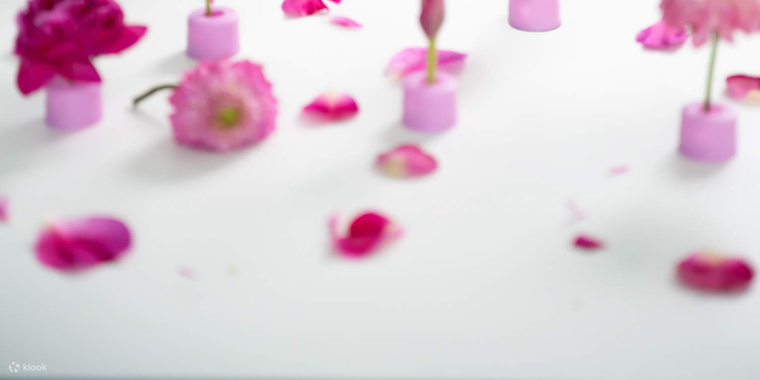 ถ่ายภาพที่ เชจู ด้วยสีสันแห่งเทพนิยาย (ขอแต่งงาน)