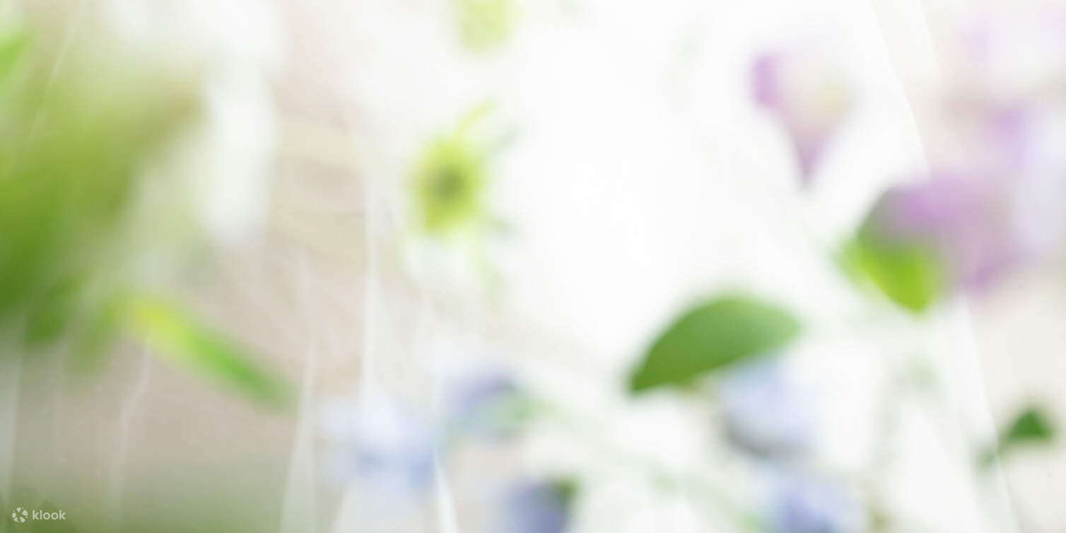 ถ่ายภาพที่ เชจู (Jeju) กับ Fairytale Color (ขอแต่งงาน)