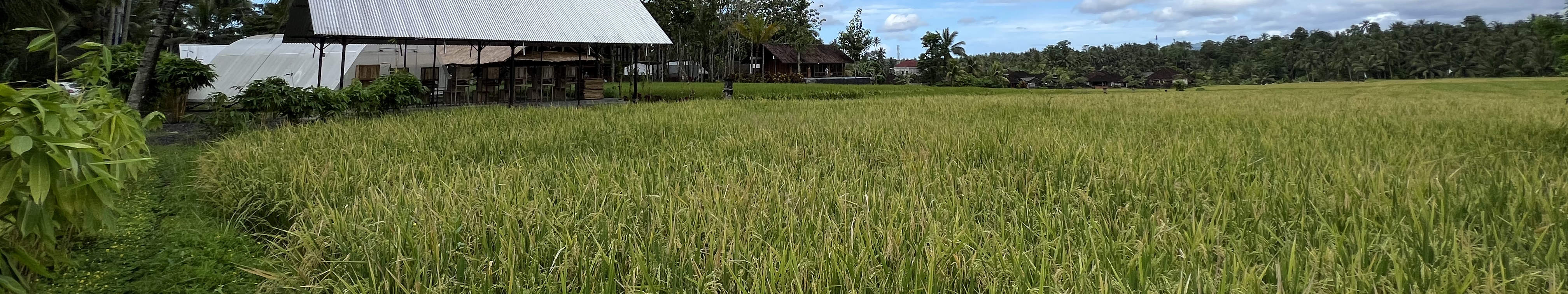 발리 가둥안의 탈라시 에스테이트에서 즐기는 탈라시 제품 여정
