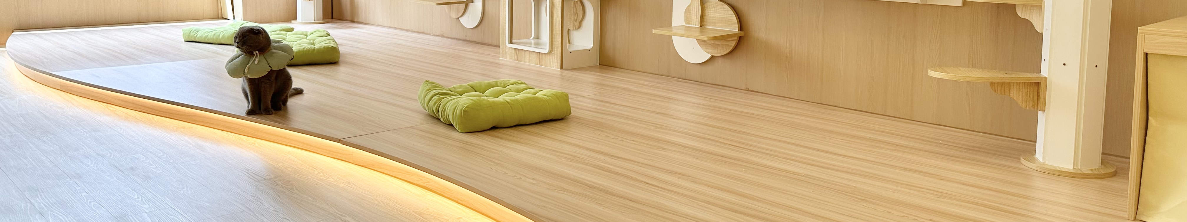 荃灣元祖店-與貓貓互動區