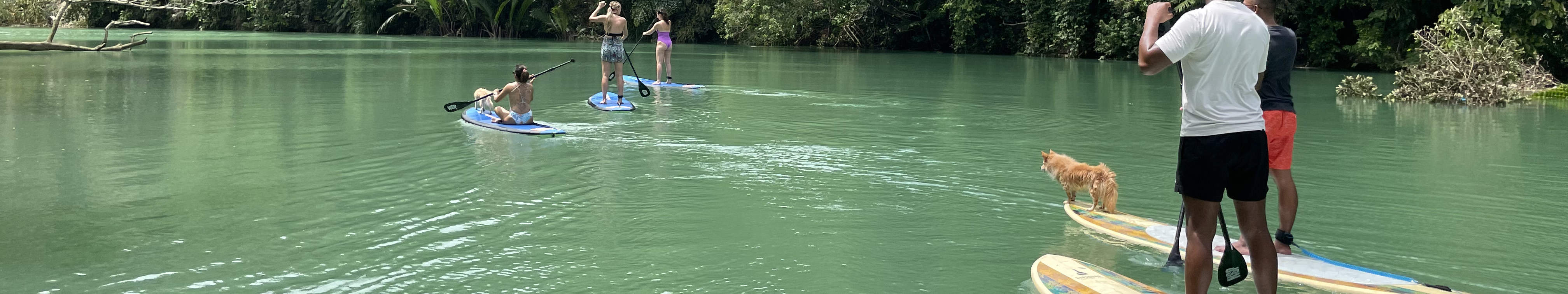 Loboc River Stand Up Paddle Adventure in Bohol