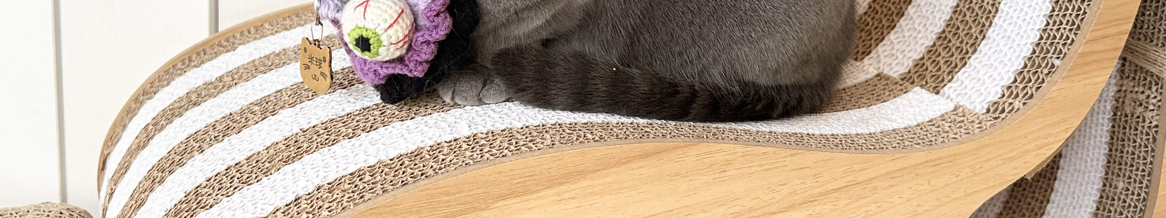 尖沙咀分店猫猫