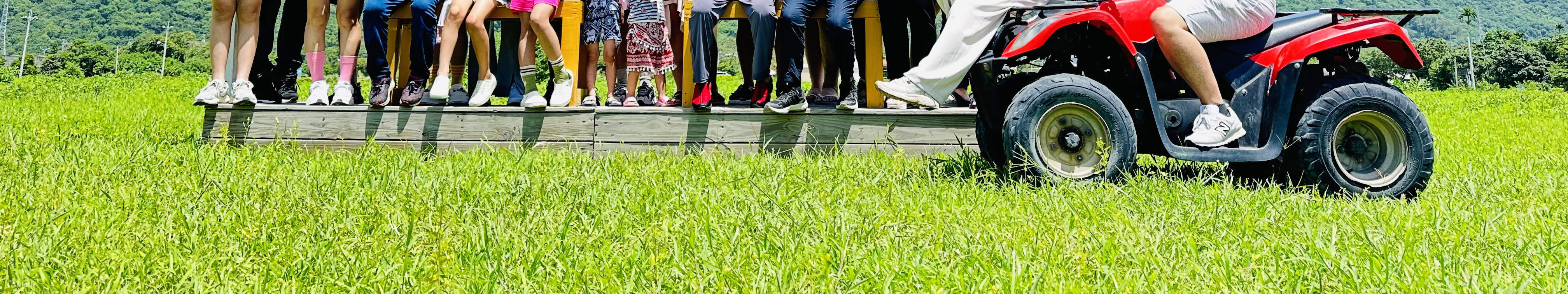 Festival cinematografico per tutta la famiglia