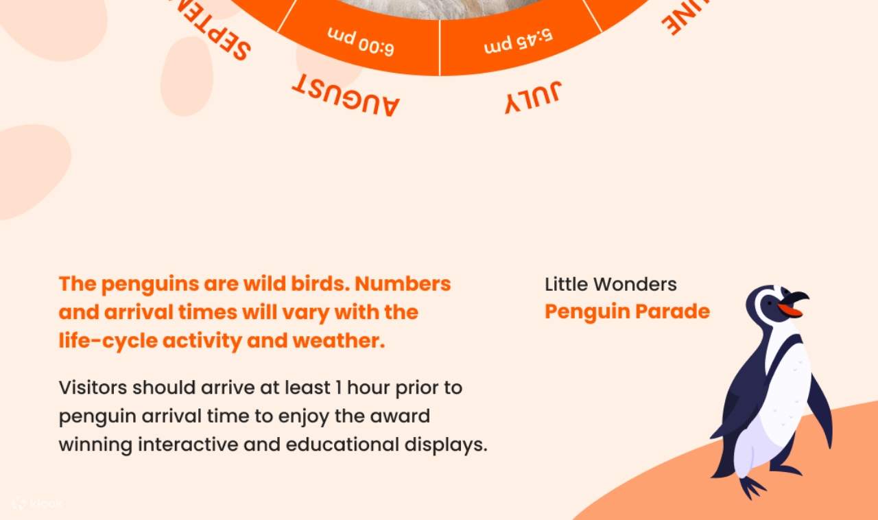 Billet pour la parade des manchots de Phillip Island