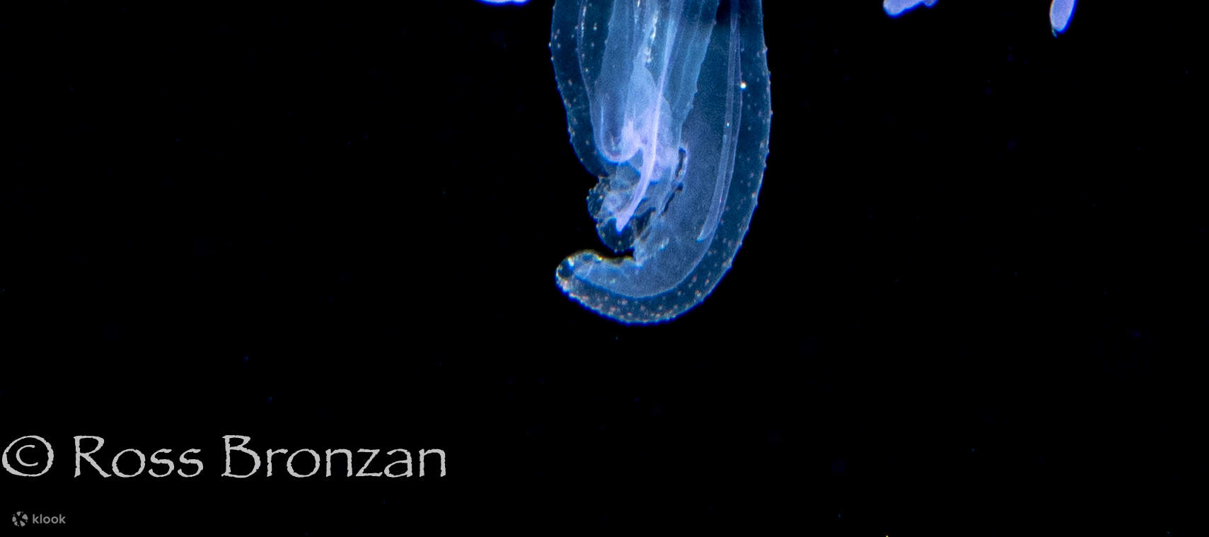 PADI Enriched Air Diver eLearning