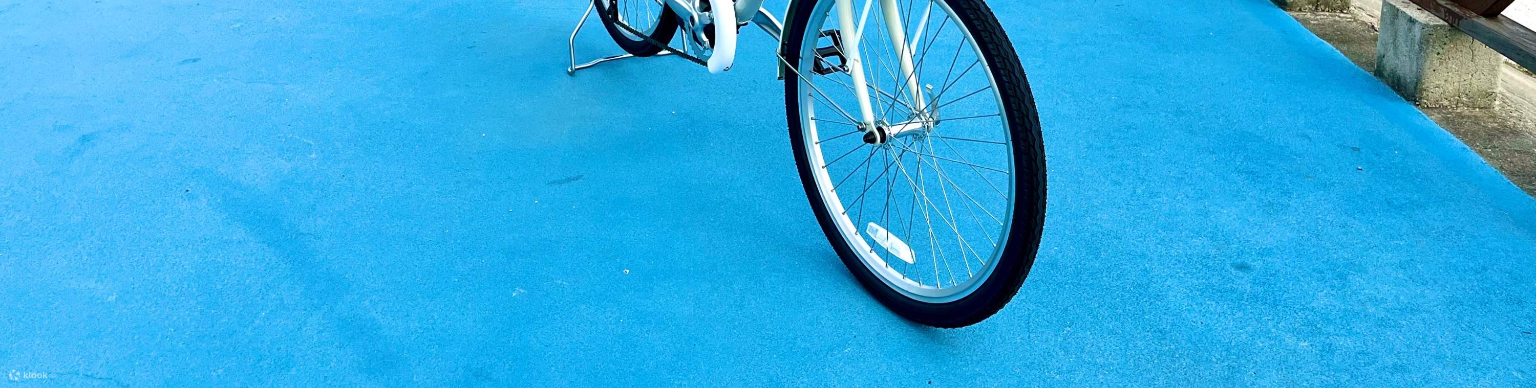 ประสบการณ์การขับขี่จักรยานไฟฟ้า Little Lark