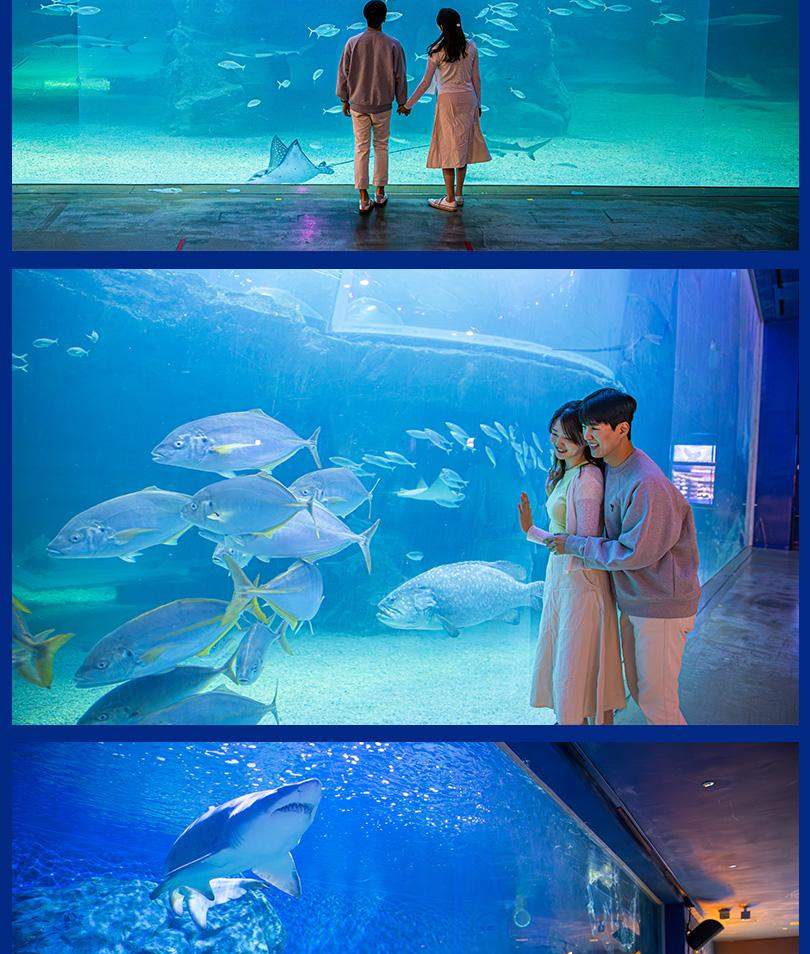 아쿠아플라넷 여수 입장권