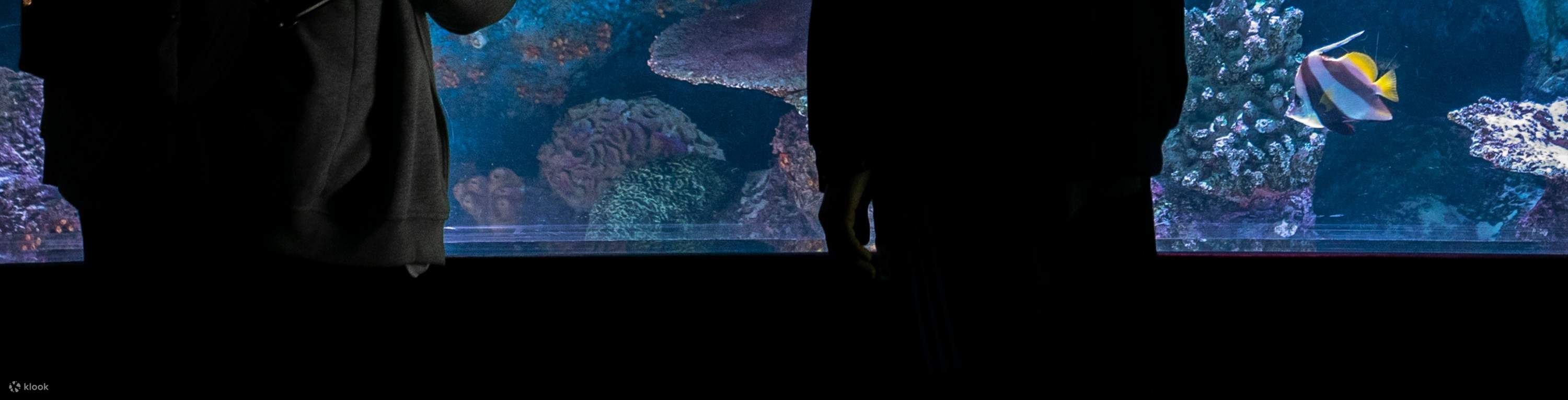 Tiket Masuk Antalya Aquarium dan Wax Museum