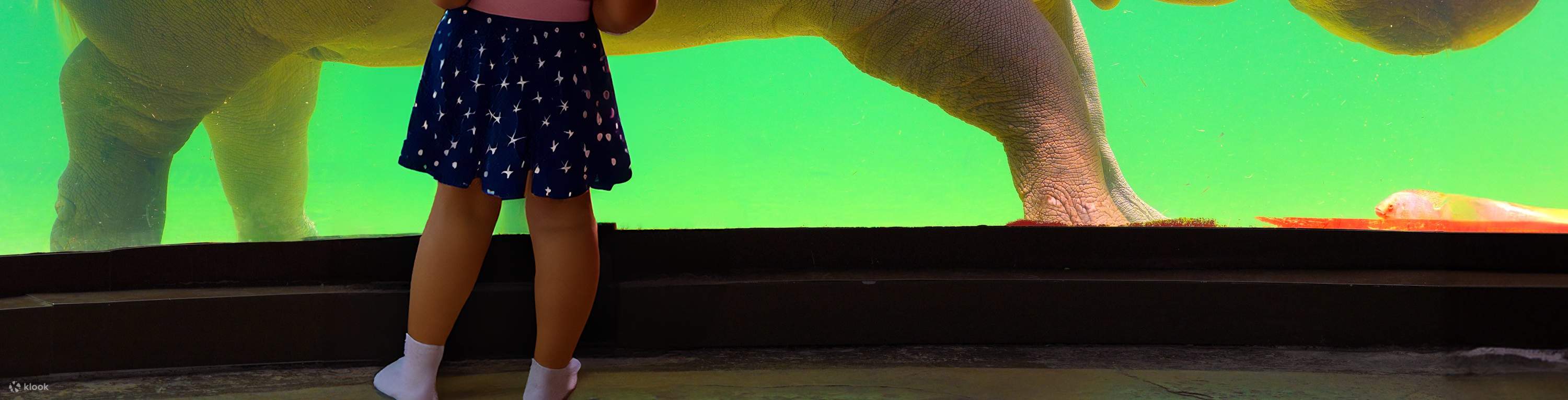 Cầu tại Safari Park