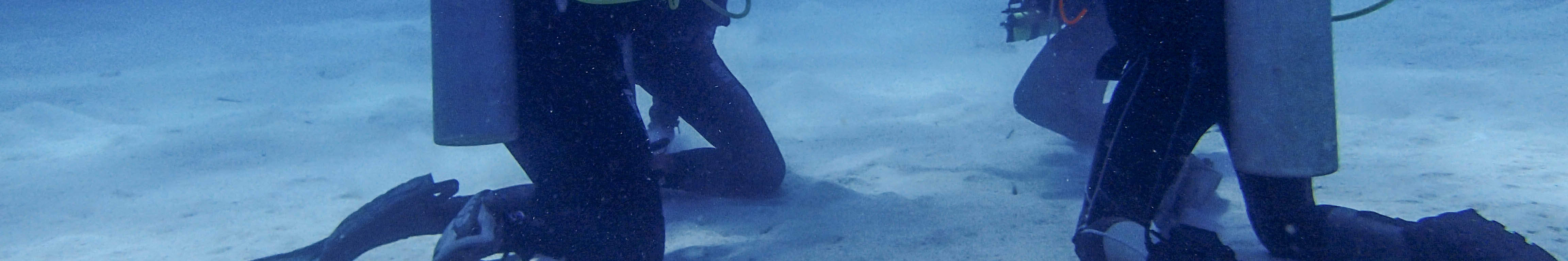 PADIオープン・ウォーター・ダイバーコース