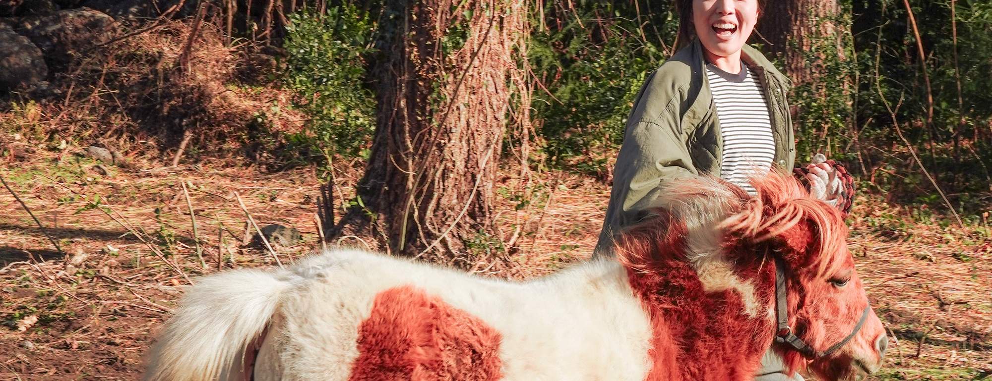 在竹林和牧場進行私人拍攝