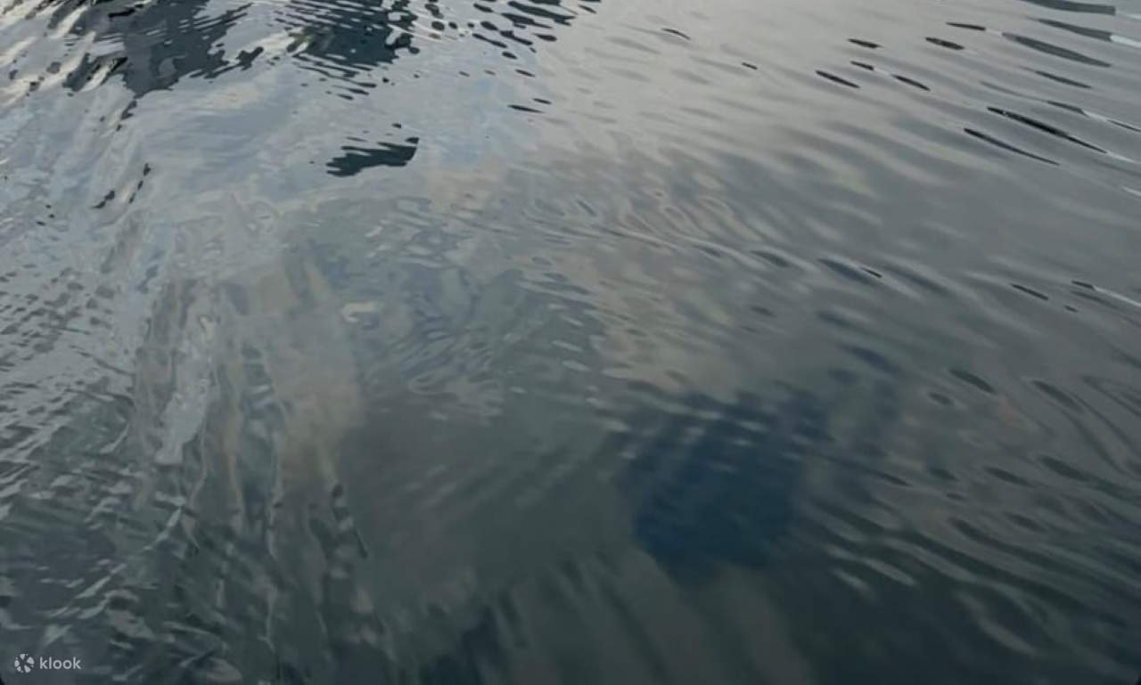 Baku boat tour on the Caspian Sea the world's largest lake