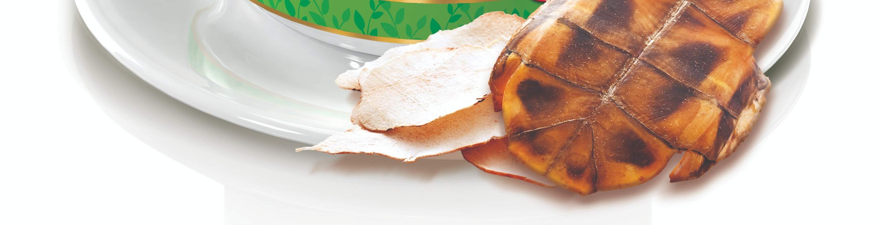 鴻福堂、Hung Fook Tong、スープ、湯