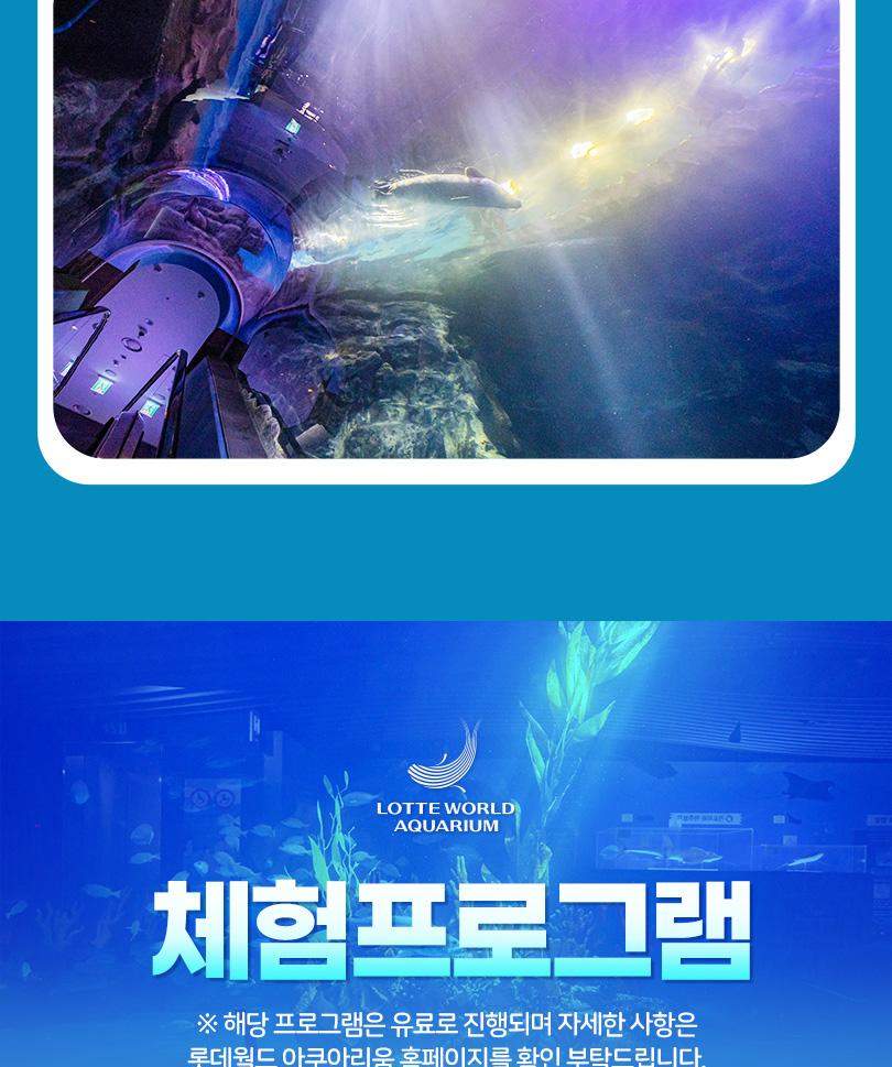 서울스카이 + 롯데월드 아쿠아리움 입장권