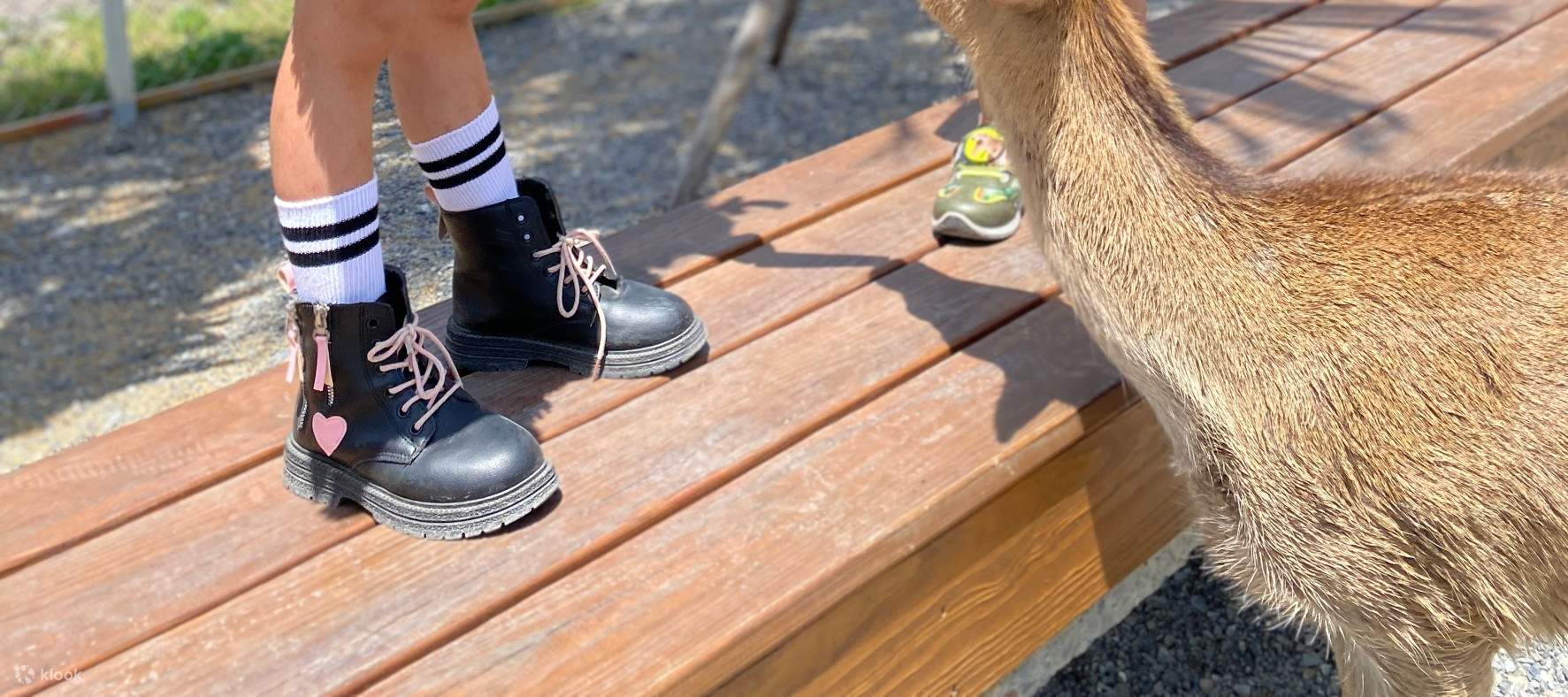 Юный смотритель - Смотритель накрывает на стол