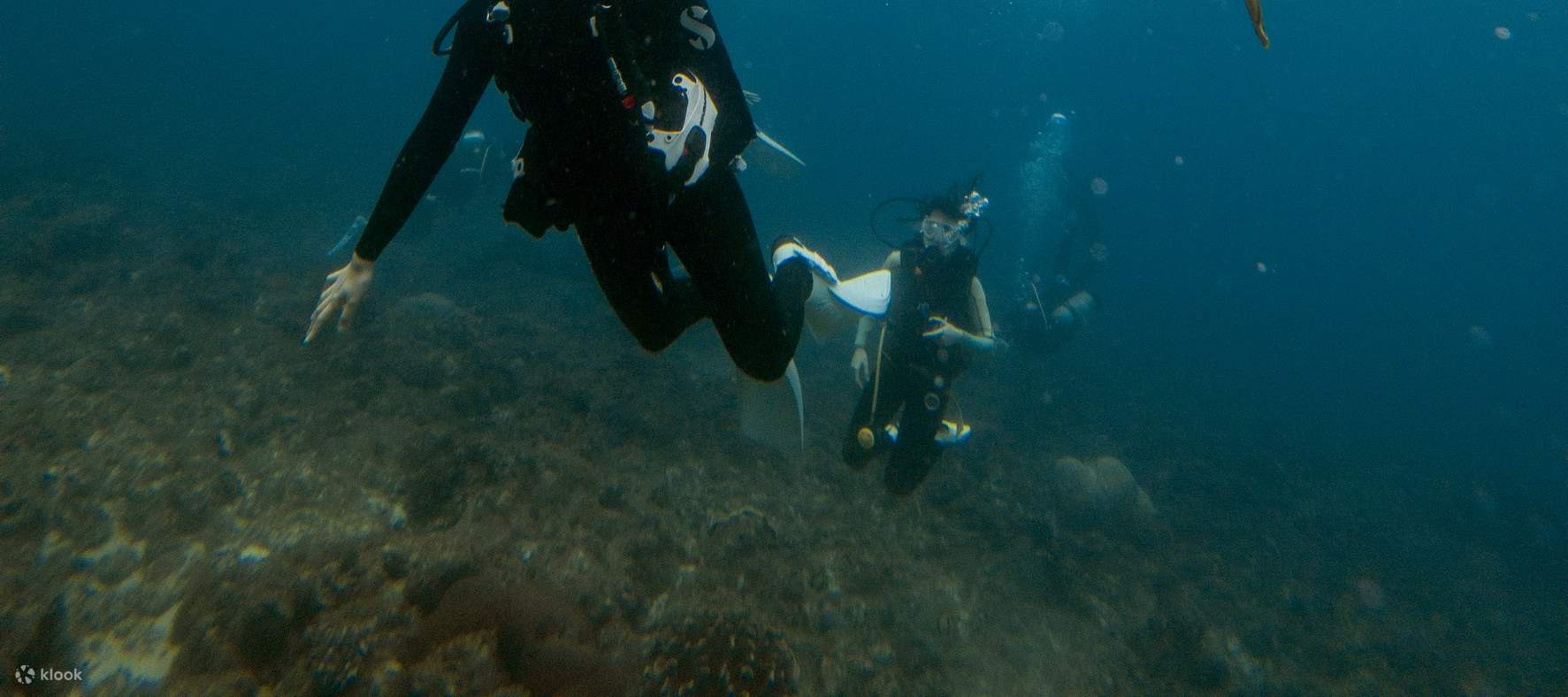 Happy Diving 4
