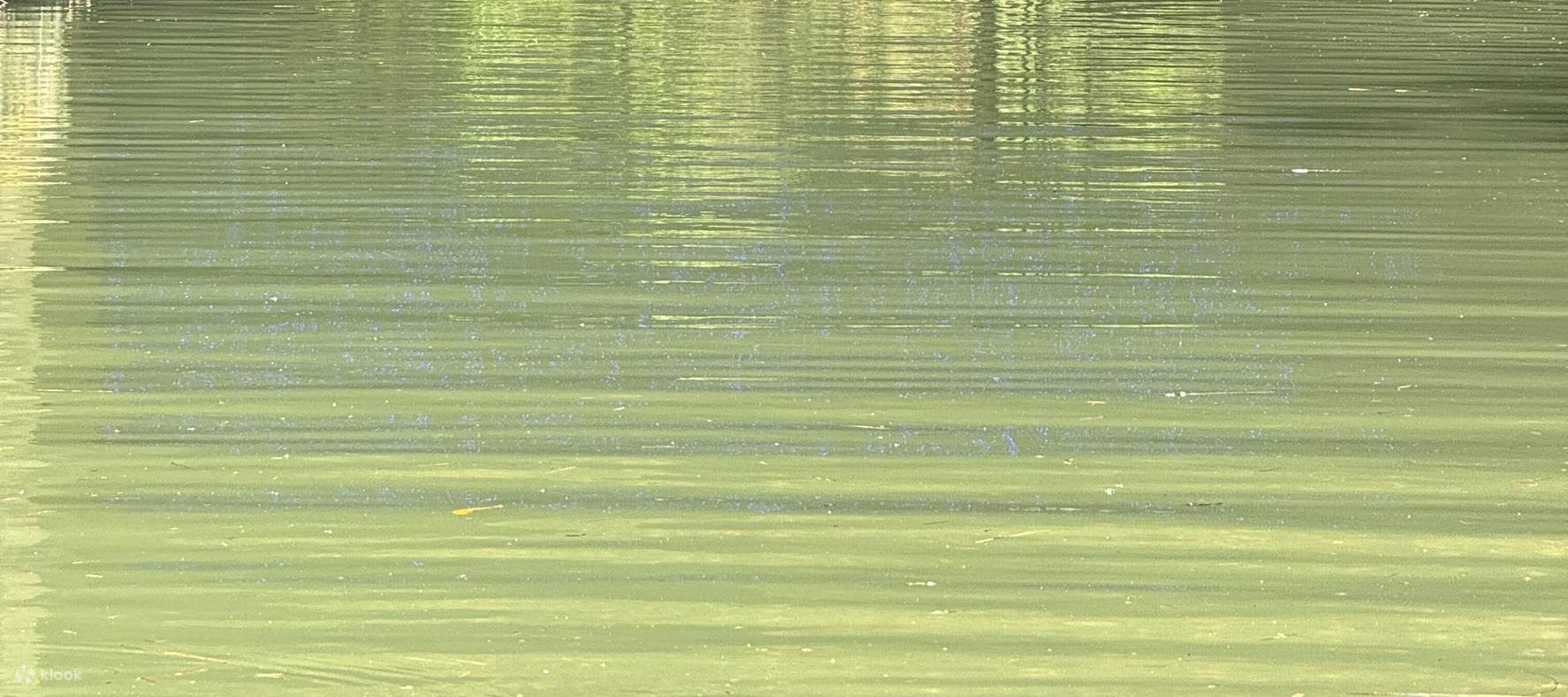 宜蘭: Thuyền điện & Xe đạp nước Sinh thái Làng Dongshan trên Sông Đông