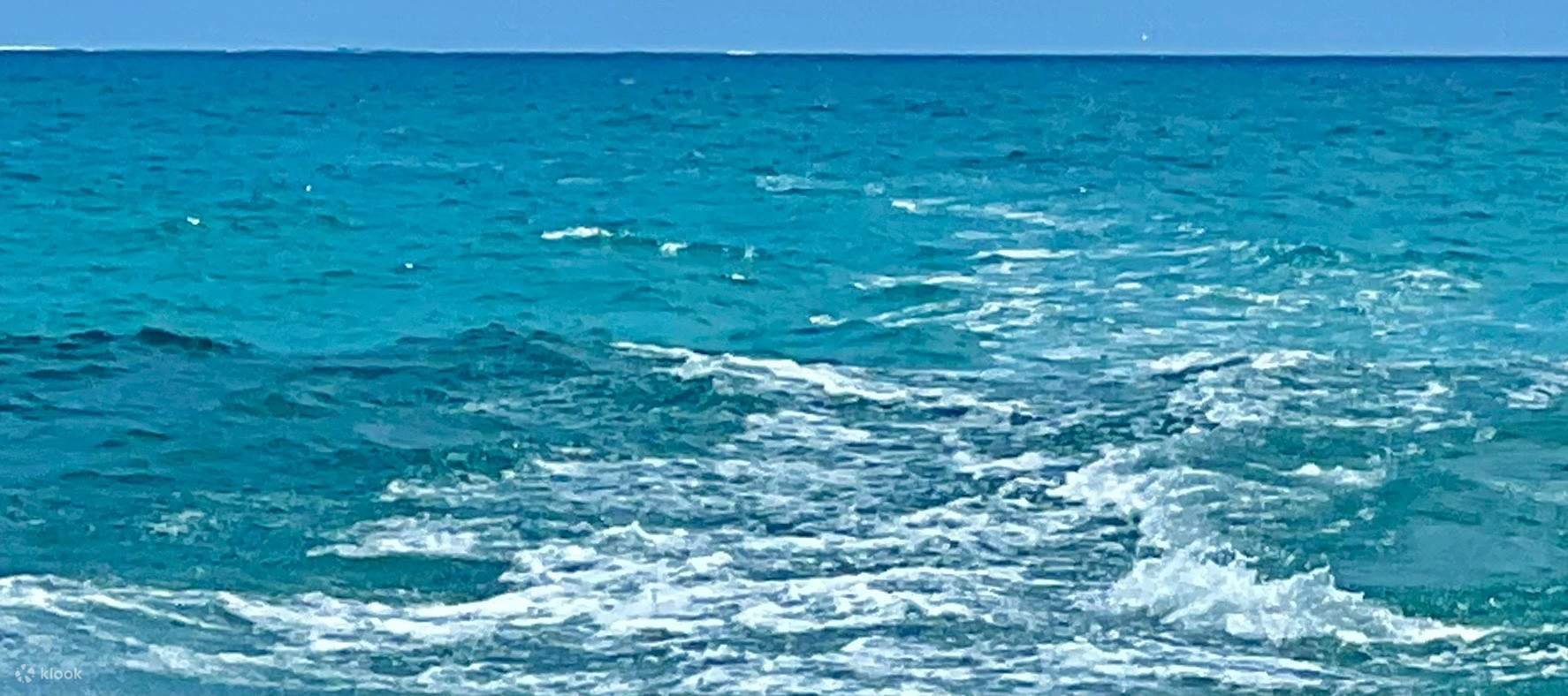 골드코스트 서핑 & 하이드로포일 체험