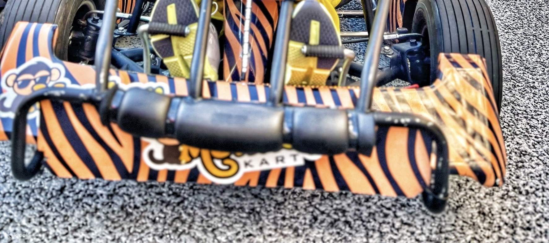 Small Group Go Kart Experience in Asakusa 