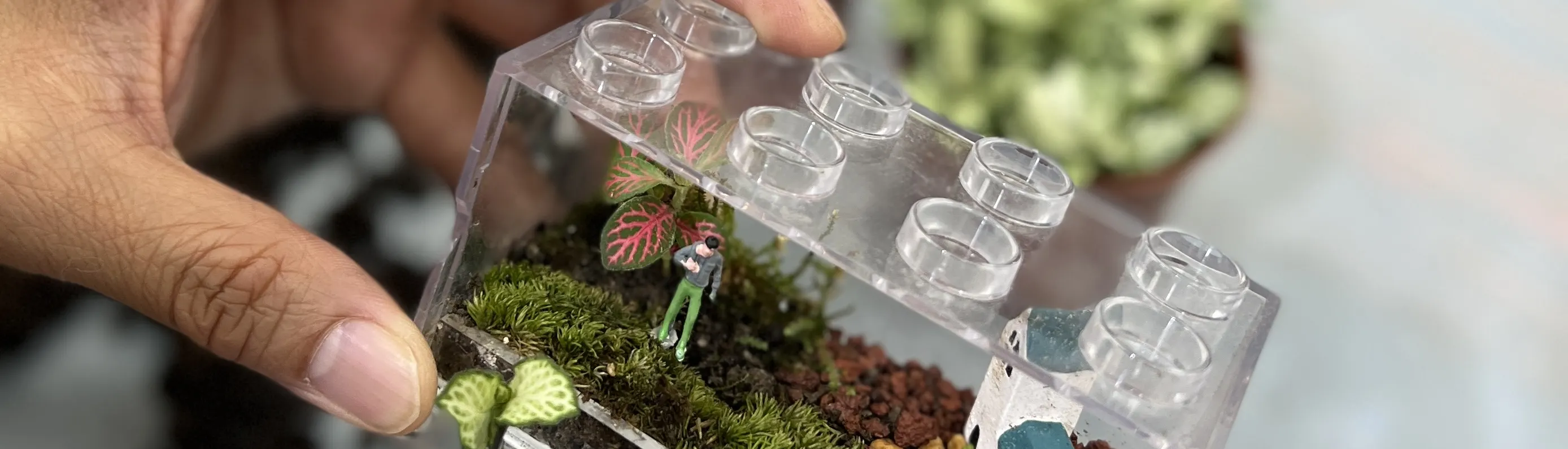 手作班房 - 微景观植物生态工作坊 Mini Terrarium Workshop｜铜锣湾